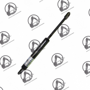 Гидроцилиндр DS1003009