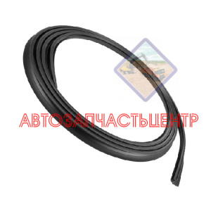 Уплотнитель лобового стекла WG1642710002